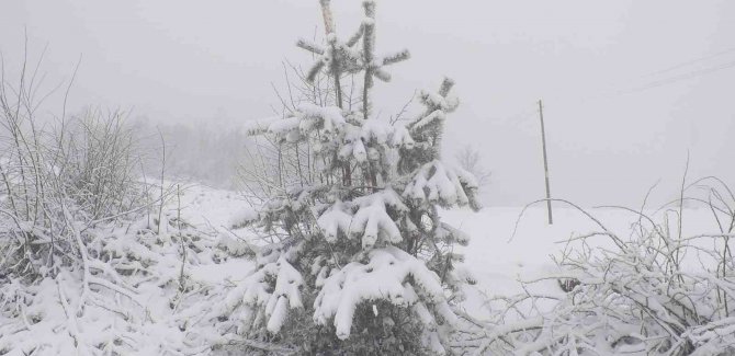 Sakarya’nın Yüksek Kesimleri Beyaza Büründü