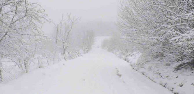Sakarya’nın Yüksek Kesimleri Beyaza Büründü