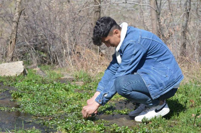 Şırnak’ta Yaylalar Huzura Kavuştu, Vatandaşlar Baharın Tadını Çıkarttı