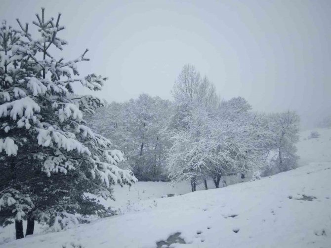 Tokat’ta Çamiçi Yaylası’na Bahar Karı