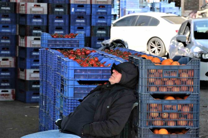Antalya Hali’nde Bahar Hareketliliği: Ürün Fiyatları Yüzde 50 Düştü