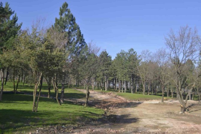 Tarihi Osmanlı Köyü’ne Devasa Mesire Alanı