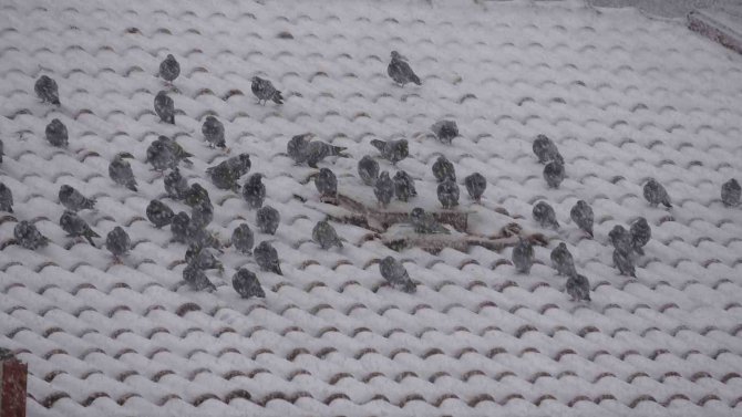 Yozgat’ta Kar Yağışı Etkili Oldu