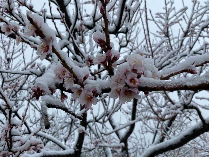 Yozgat’ta Kar Yağışı Etkili Oldu