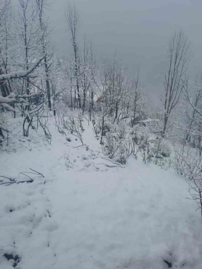 Gümeli Yüksek Rakımlı Bölgelerinde Kar Yağışı Devam Ediyor