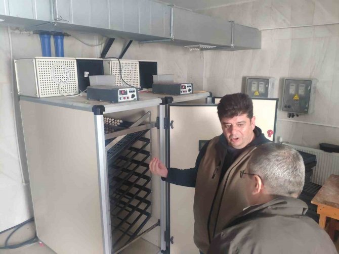 Yeni Yılın İlk Keklik Yavruları Kuluçkadan Çıkmaya Başladı