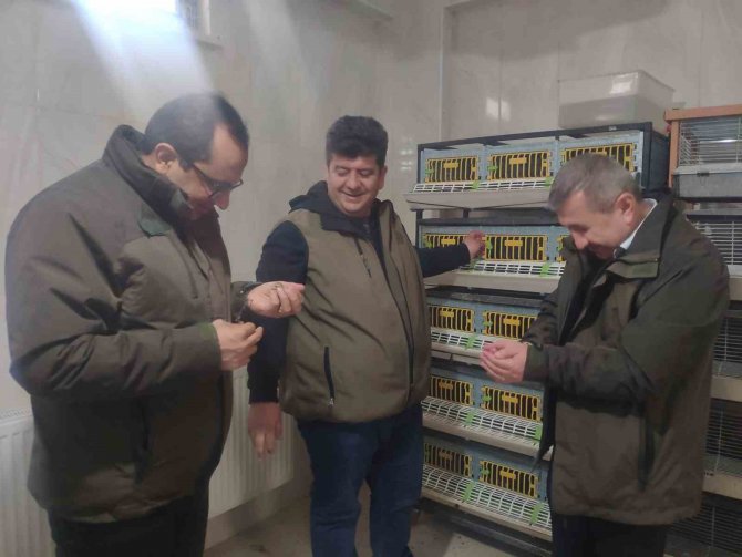 Yeni Yılın İlk Keklik Yavruları Kuluçkadan Çıkmaya Başladı