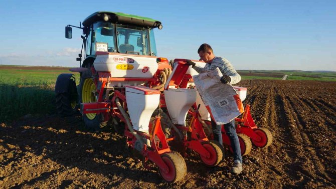 Edirne’de Ayçiçeği Ekim Mesaisi Başladı
