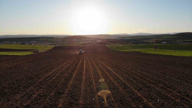 Edirne’de Ayçiçeği Ekim Mesaisi Başladı