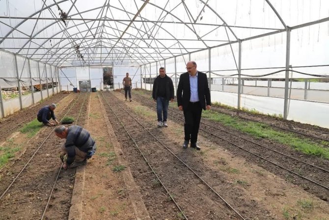 Çukurca’da Fide Ekimine Başlandı