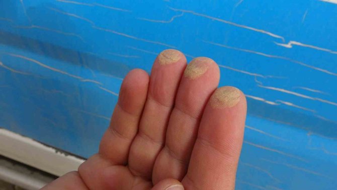 Yüksekova’da Araçlar Çamur Altında Kaldı