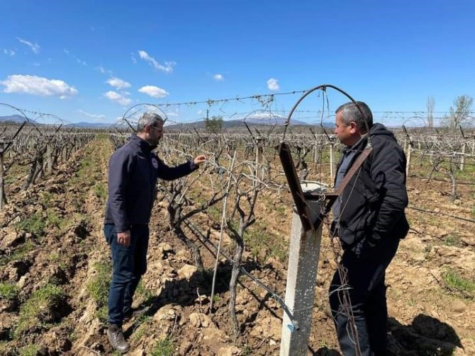 Manisa’nın 7 İlçesini Don Vurdu
