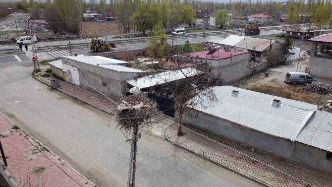 Iğdır’a Gelen Leylekler Yuva İçin Yüksek Yerleri Seçiyor
