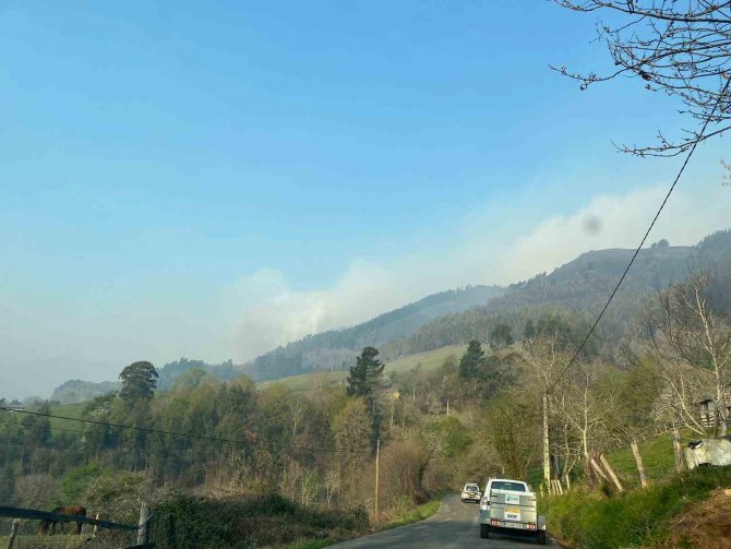 İ̇spanya’nın Asturias Bölgesinde 60’tan Fazla Orman Yangını
