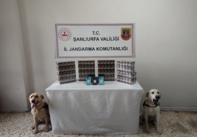 Jandarma Uygulamalarda Uyuşturucu Ve Kaçakçılık Malzemesi Ele Geçirdi