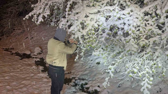 Ordu’da Fındıkta Zirai Don Tehlikesi