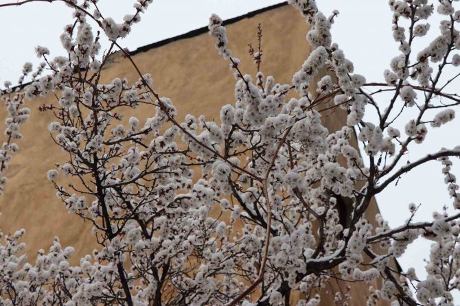 Oltu’ya Mart Karı Yağdı