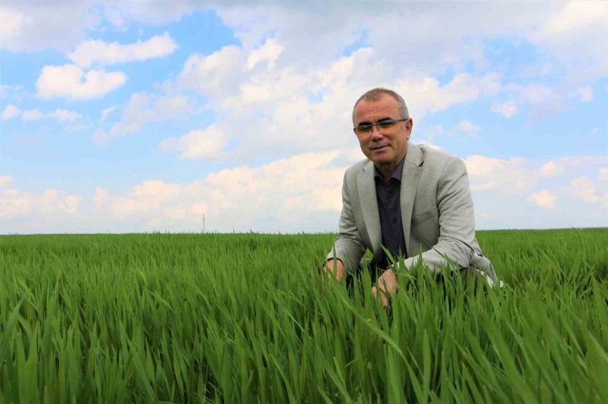 Diyarbakır’da Çiftçinin Yüzü Son Yağışlarla Güldü