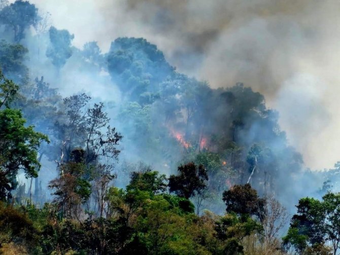 Tayland’daki Orman Yangını Devam Ediyor