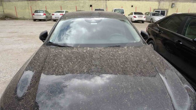 Van’daki Oto Yıkamacılarda Çamur Yoğunluğu