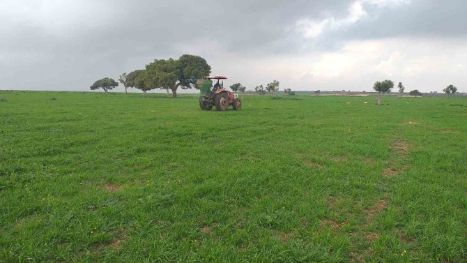 Adana’da Meralarda İlkbahar Gübrelemesi Yapıldı