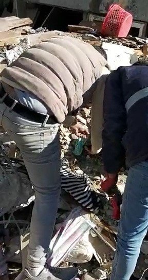 Enkaz Altında Kalan Yavru Kediler Kurtarıldı