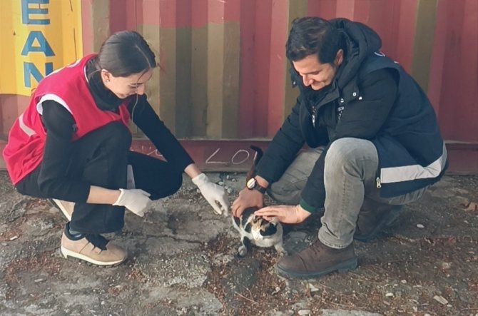 Polis Kurtardı, Kızılay Sahiplendi, Adı ’Afet’ Oldu