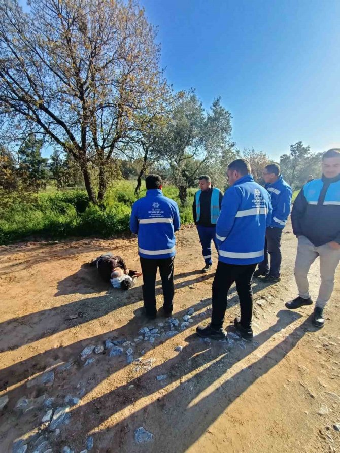 Aski̇ Ekiplerinin Dikkati Hayat Kurtardı