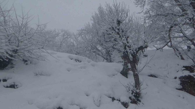 İ̇lkbahar Beklenirken Kış Geldi