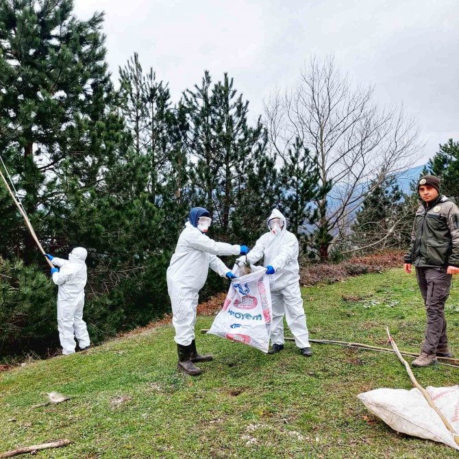 Özel Giysilerle Çam Kese Tırtıllarıyla Mücadele Ediyorlar
