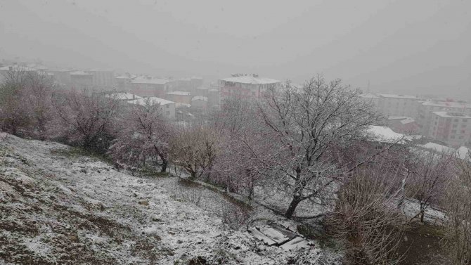 Kulp, Mart Ayının Son Gününde Beyaza Büründü