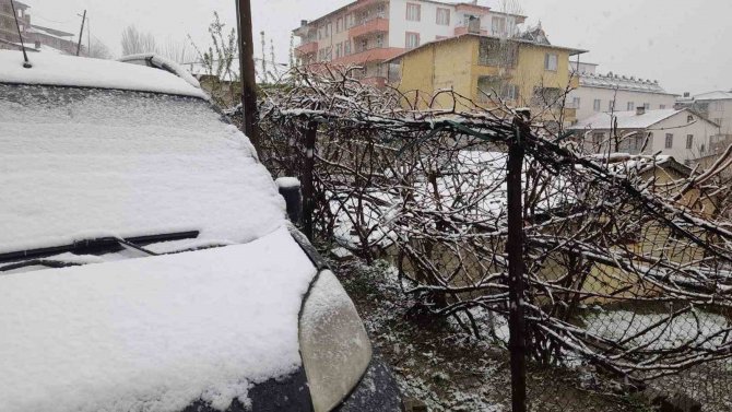 Kulp, Mart Ayının Son Gününde Beyaza Büründü