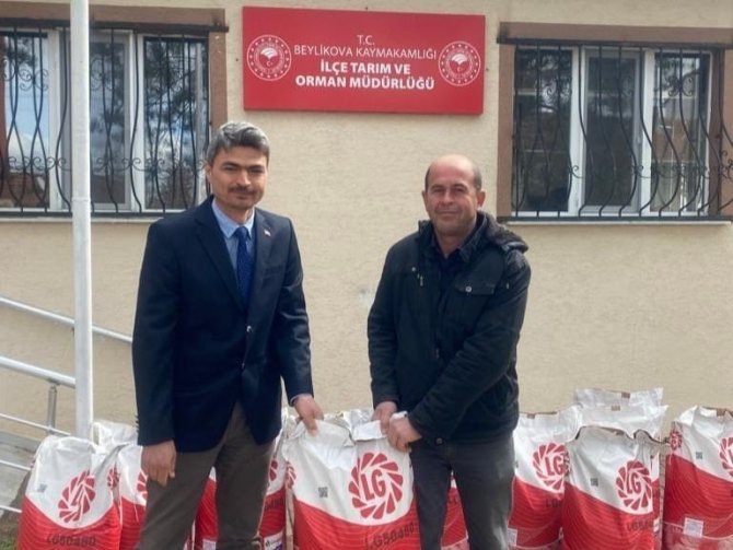 Beylikova Çiftçisine Ayçiçeği Tohum Desteği
