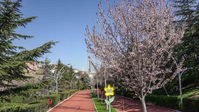 Keçiören’e Bahar Geldi