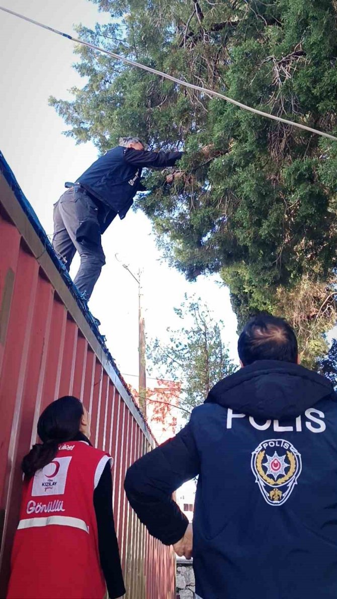 Polis Kurtardı, Kızılay Sahiplendi, Adı ’Afet’ Oldu
