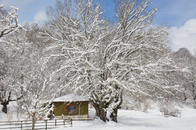 Göktepe Yaylasındaki Kar Manzaraları Görenleri Mest Ediyor