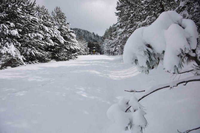 Kastamonu’da 15 Köye Ulaşım Sağlanamıyor
