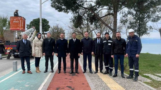 Sokak Lambaları Kuşların Yeni Yuvası Oldu