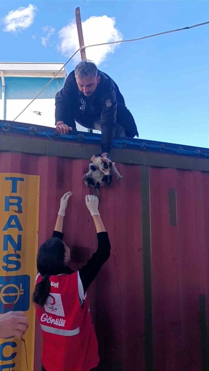 Polis Kurtardı, Kızılay Sahiplendi, Adı ’Afet’ Oldu