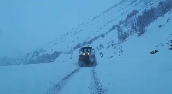 Siirt’te Kar Yolları Kapattı, Ekipler Seferber Oldu
