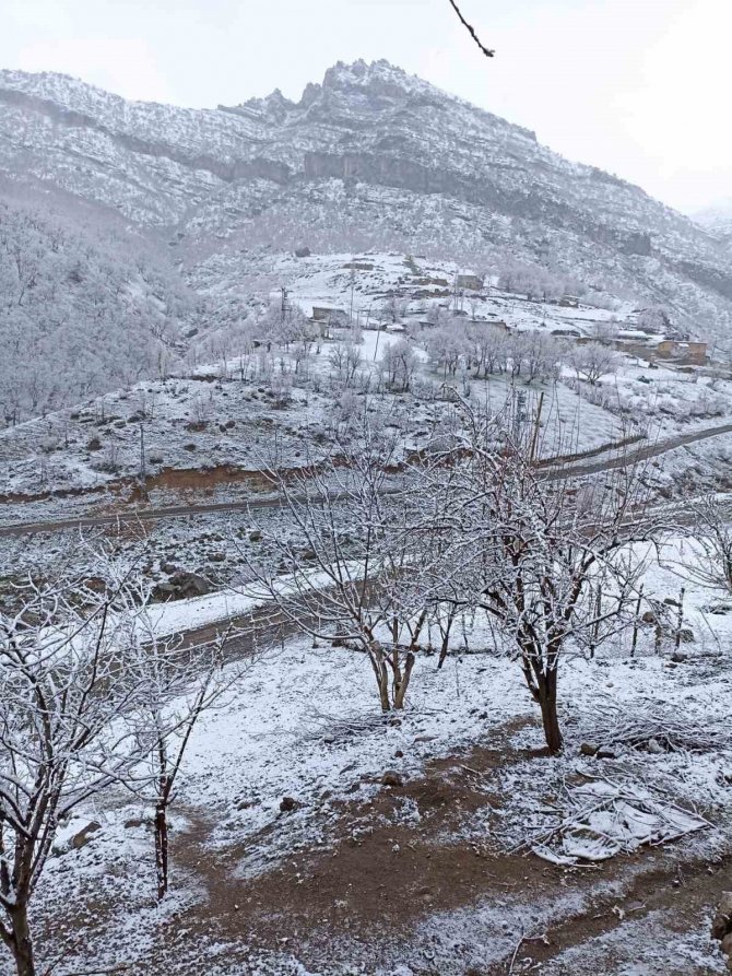 Şırnak Beyaza Büründü