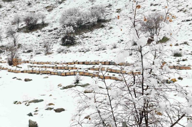 Çatak’ta Kar Yağışı