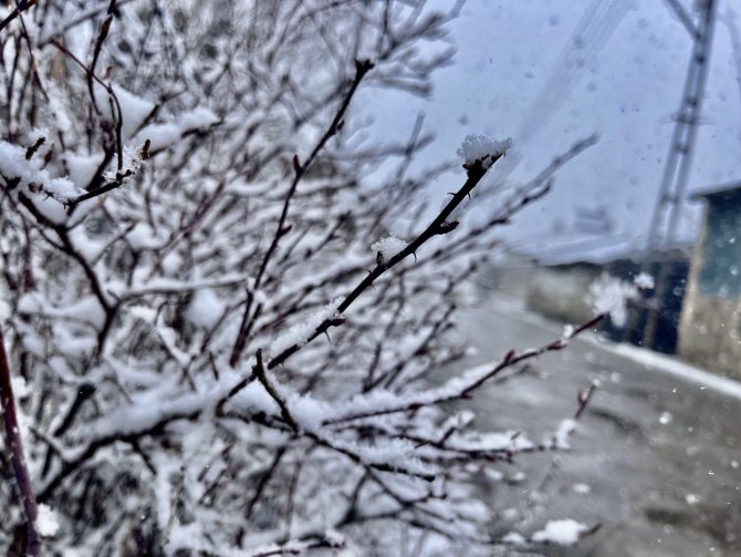 Ağrı Beyaz Örtüye Büründü