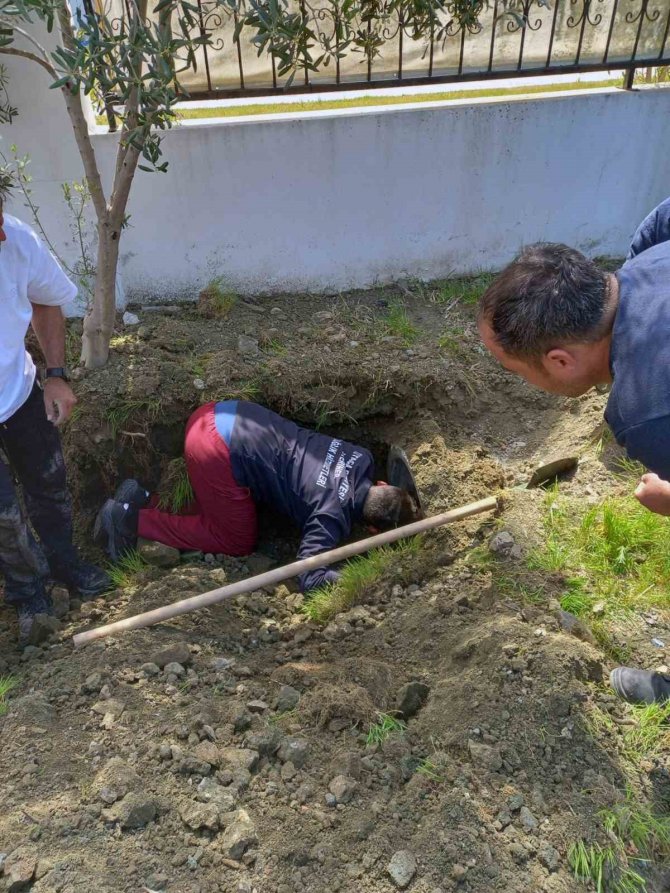 Anne Köpek Ve Yavruları Kurtarıldı