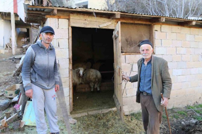 Baraj Suları Nedeniyle Taşınan İlçede Besiciler Dertli