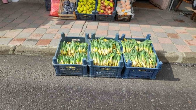 Kulp’ta ,’Gulik’ Tezgahtaki Yerini Aldı