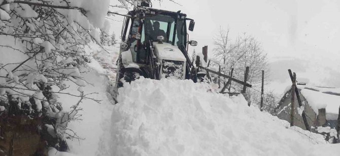 Giresun Yaylalarında Karla Mücadele