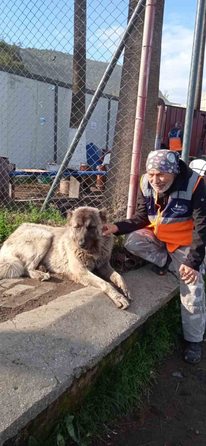Karabüklü Gönüllüler Depremzedelerin Yaralarını Sarıyor