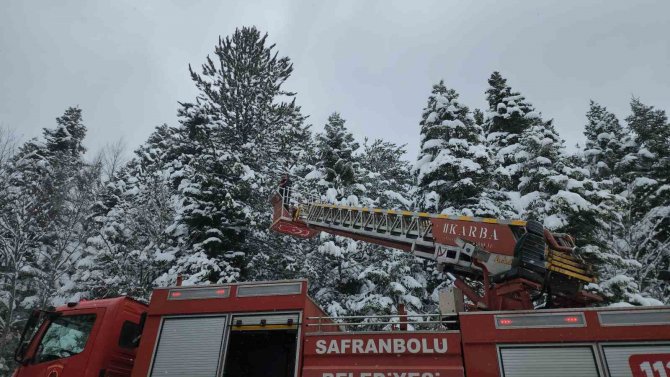 İ̇tfaiye Bu Kez Ağaca Takılı Kalan Dronu Kurtarmak İçin Seferber Oldu