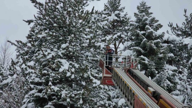 İ̇tfaiye Bu Kez Ağaca Takılı Kalan Dronu Kurtarmak İçin Seferber Oldu